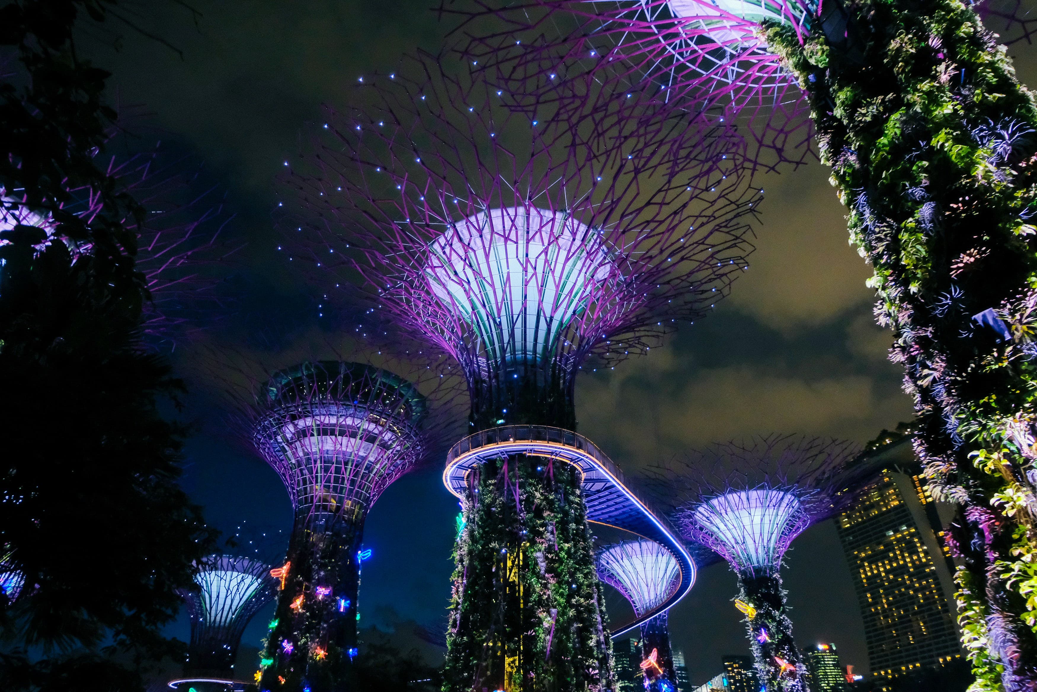 Singapore Tourist Visa for Indians: A Comprehensive Guide