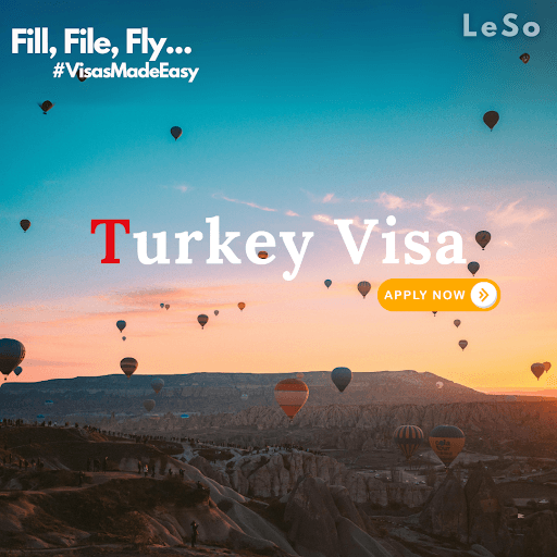 Navigating Turkey's E-Visa System: Comprehensive Answers for Indian Travelers