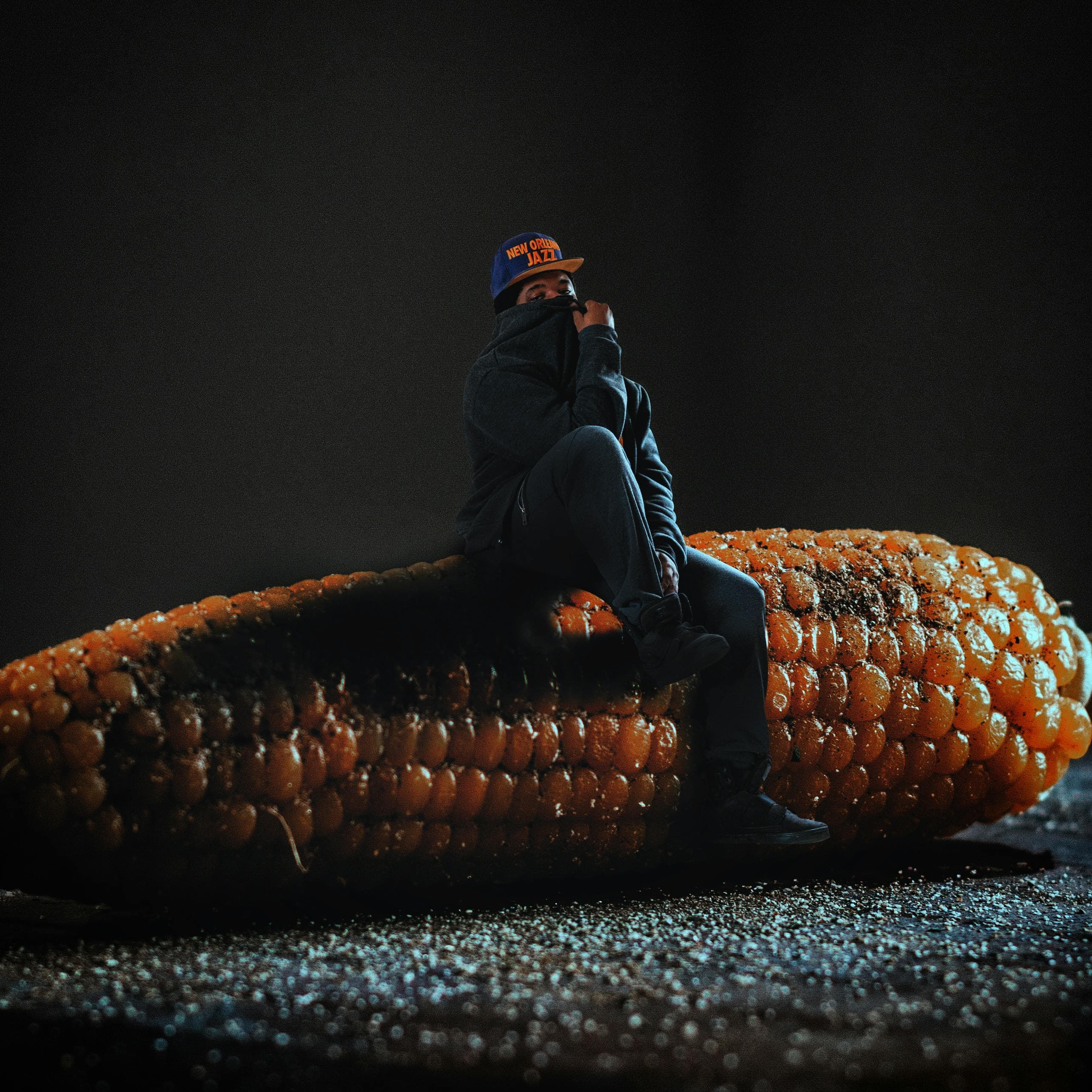 India eVisa Payment Successful but Application Not Submitted: Fix