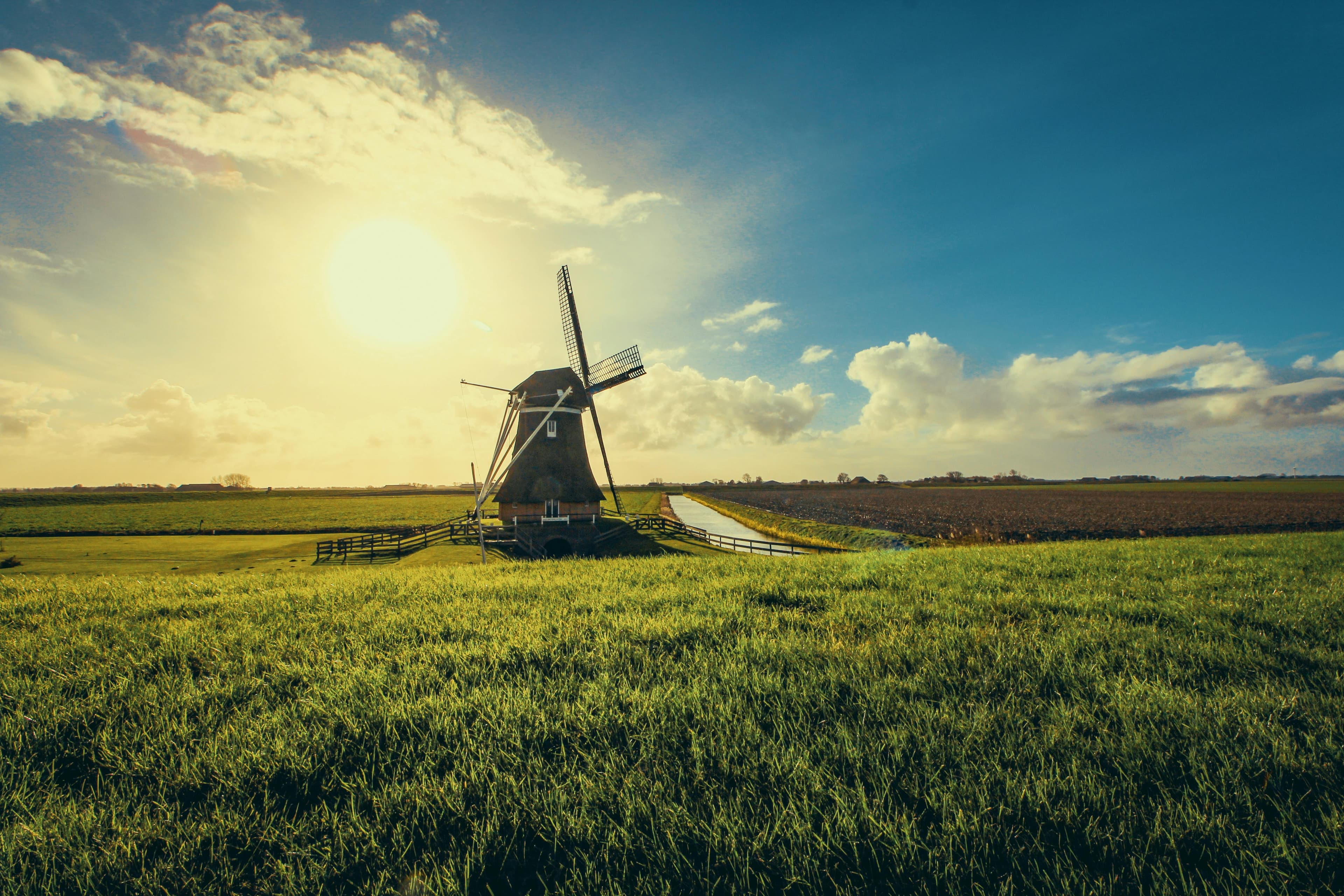 Netherlands Visa Processing Delays And What to do Next